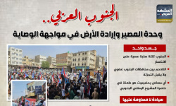 الجنوب العربي.. وحدة المصير وإرادة الأرض في مواجهة الوصاية (إنفوجراف)