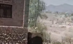 حملة أمنية لملاحقة عناصر مسلحة في ضواحي الحبيلينِ