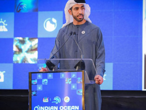 "قرصنة وابتزاز".. الإمارات تحذر من تداعيات تعطيل الملاحة بالممرات البحرية