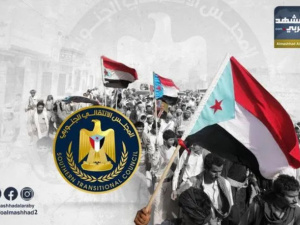 جدار الصد الجنوبي المنيع.. وحدة الصف كضمانة وجودية للمكتسبات الوطنية