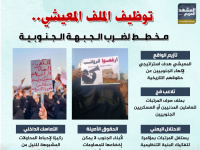 توظيف الملف المعيشي.. مخطط لضرب الجبهة الجنوبية (إنفوجراف)