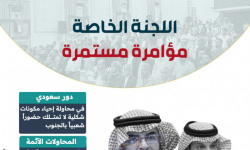 اللجنة الخاصة.. مؤامرة مستمرة (إنفوجراف)