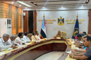 "مستشاري الانتقالي" يدعو إلى المشاركة في مليونية 4 مايو