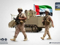 الجنوب العربي والإمارات.. شراكة صنعت أمنًا ونسجت مسارًا للتنمية