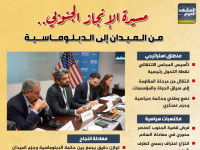 مسيرة الإنجاز الجنوبي.. من الميدان إلى الدبلوماسية (إنفوجراف)