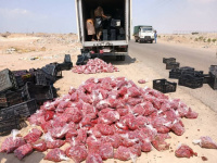 "صحة البيئة" يعلن إتلاف 1500 كيلو جرام من الفراولة الفاسدة في عدن