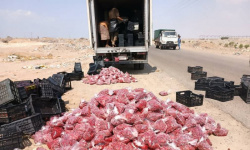 "صحة البيئة" يعلن إتلاف 1500 كيلو جرام من الفراولة الفاسدة في عدن