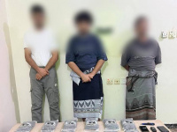 القبض على عصابة ترويج مخدرات وضبط 12 كيلوجرام حشيش بعدن