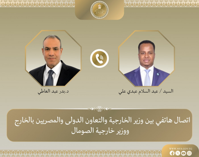 وزير الخارجية المصري يبحث مع نظيره الصومالي تعزيز الشراكة الاستراتيجية 
