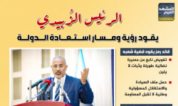 الرئيس الزُبيدي يقود رؤية ومسار استعادة الدولة (إنفوجراف)