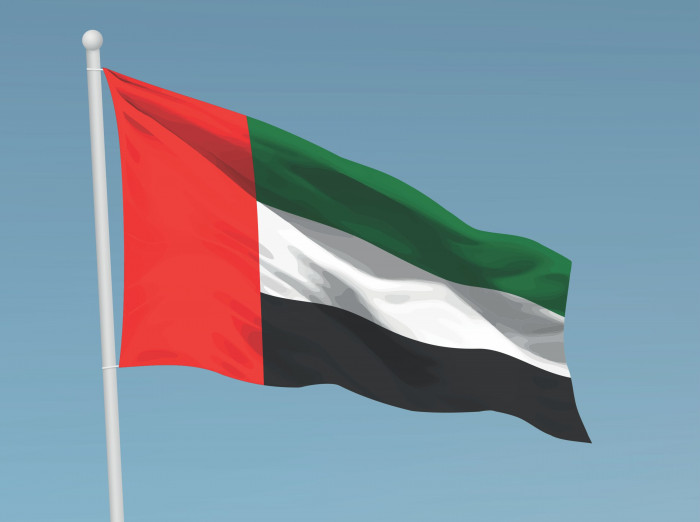 الإمارات تُدين بشدة الاعتداء الإرهابي على سفينة كورية في مضيق هرمز