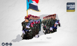 القوات الجنوبية.. الرهان الرابح في معركة استعادة الدولة والسيادة