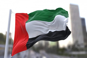 الإمارات تدين اختطاف ناقلة نفط مصرية قبالة سواحل اليمن