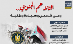 التلاحم الجنوبي.. وعي شعبي وسيادة وطنية (إنفوجراف)