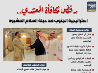 رفض مكافأة المعتدي.. استراتيجية الجنوب ضد حيلة السلام المشبوه (إنفوجراف)