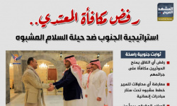 رفض مكافأة المعتدي.. استراتيجية الجنوب ضد حيلة السلام المشبوه (إنفوجراف)