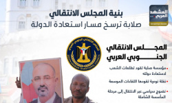 بنية المجلس الانتقالي.. صلابة ترسخ مسار استعادة الدولة (إنفوجراف)