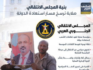 بنية المجلس الانتقالي.. صلابة ترسخ مسار استعادة الدولة (إنفوجراف)