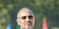 إرادة شعبية تحمي إدارة وطنية.. قيمة الرئيس الزبيدي أكبر من إزالة صوره