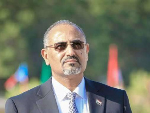 إرادة شعبية تحمي إدارة وطنية.. قيمة الرئيس الزبيدي أكبر من إزالة صوره