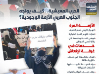 الحرب المعيشية.. كيف يواجه الجنوب العربي الأزمة الوجودية؟ (إنفوجراف)