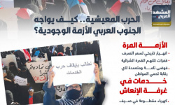 الحرب المعيشية.. كيف يواجه الجنوب العربي الأزمة الوجودية؟ (إنفوجراف)