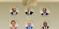 وزير الخارجية المصري يبحث مع رئيس الاتحاد الأفريقى تعزيز العمل المشترك