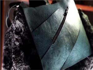 حقيبة من جلد ديناصور عمره 67 مليون عام تُشعل مزاداً في باريس