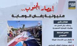 إعصار الجنوب.. مليونية رفض الوصاية (إنفوجراف)