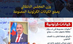 وزن المجلس الانتقالي يصفع الكيانات الكرتونية المصنوعة (إنفوجراف)