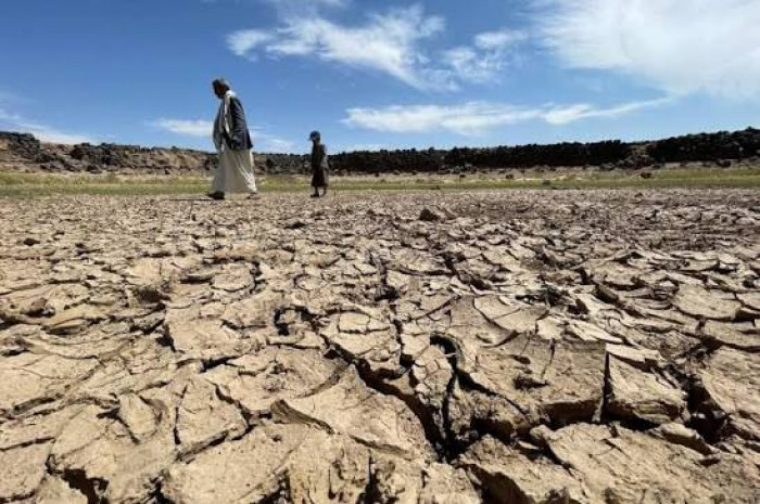 التغير المناخي مسؤول عن موجة القيظ في أوروبا