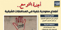 أجندة التوسع.. أطماع سعودية خفية في المحافظات الشرقية (إنفوجراف)