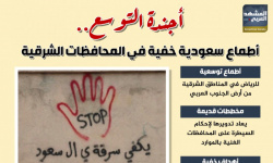 أجندة التوسع.. أطماع سعودية خفية في المحافظات الشرقية (إنفوجراف)