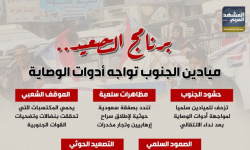 برنامج التصعيد.. ميادين الجنوب تواجه أدوات الوصاية (إنفوجراف)