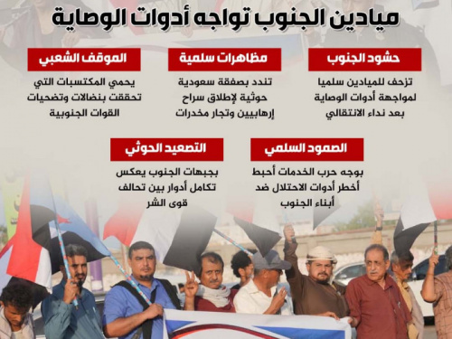 برنامج التصعيد.. ميادين الجنوب تواجه أدوات الوصاية (إنفوجراف)