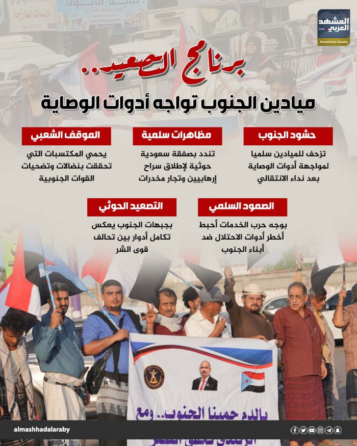 برنامج التصعيد ميادين الجنوب تواجه أدوات الوصاية إنفوجراف برنامج التصعيد ميادين الجنوب تواجه أدوات الوصاية إنفوجراف