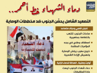 دماء الشهداء خط أحمر.. التصعيد الشامل يحصن الجنوب ضد مخططات الوصاية (إنفوجراف)