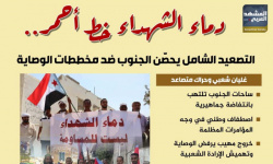 دماء الشهداء خط أحمر.. التصعيد الشامل يحصن الجنوب ضد مخططات الوصاية (إنفوجراف)
