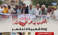 الجنوب يدحر المخططات.. إرادة شعبية لا تنكسر (إنفوجراف)