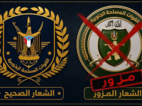قيادة القوات الجنوبية تنفي شائعة تغيير شعارها