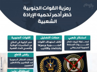 رمزية القوات الجنوبية.. خط أحمر تحميه الإرادة الشعبية (إنفوجراف)