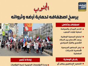 الجنوب يرسخ اصطفافه لحماية أرضه وثرواته (إنفوجراف)