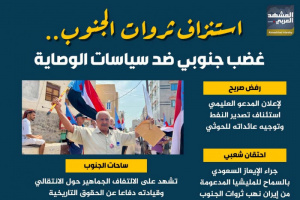 استنزاف ثروات الجنوب.. غضب جنوبي ضد سياسات الوصاية (إنفوجراف)