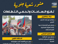 حشود شعبية جنوبية تغزو الساحات وتحمي التطلعات (إنفوجراف)