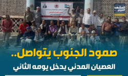 صمود الجنوب يتواصل.. العصيان المدني يدخل يومه الثاني (إنفوجراف)