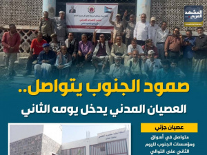 صمود الجنوب يتواصل.. العصيان المدني يدخل يومه الثاني (إنفوجراف)