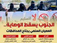 الجنوب يسقط الوصاية.. العصيان السلمي يجتاح المحافظات (إنفوجراف)
