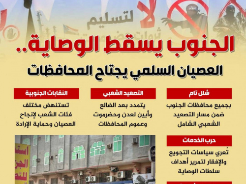 الجنوب يسقط الوصاية.. العصيان السلمي يجتاح المحافظات (إنفوجراف)