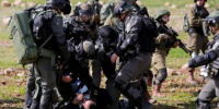 مستوطنون يقتحمون قرى نابلس والاحتلال يصيب 6 فلسطينيين