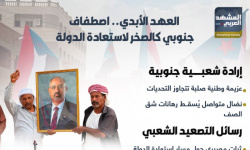 العهد الأبدي.. اصطفاف جنوبي كالصخر لاستعادة الدولة (إنفوجراف)